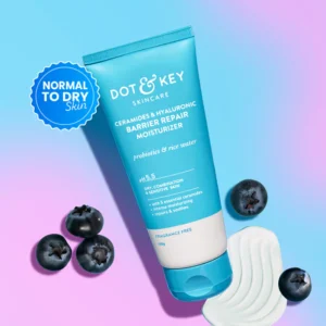 Dot & Key Blueberry Hydrate Barrier Repair Intense Moisturizer 100g